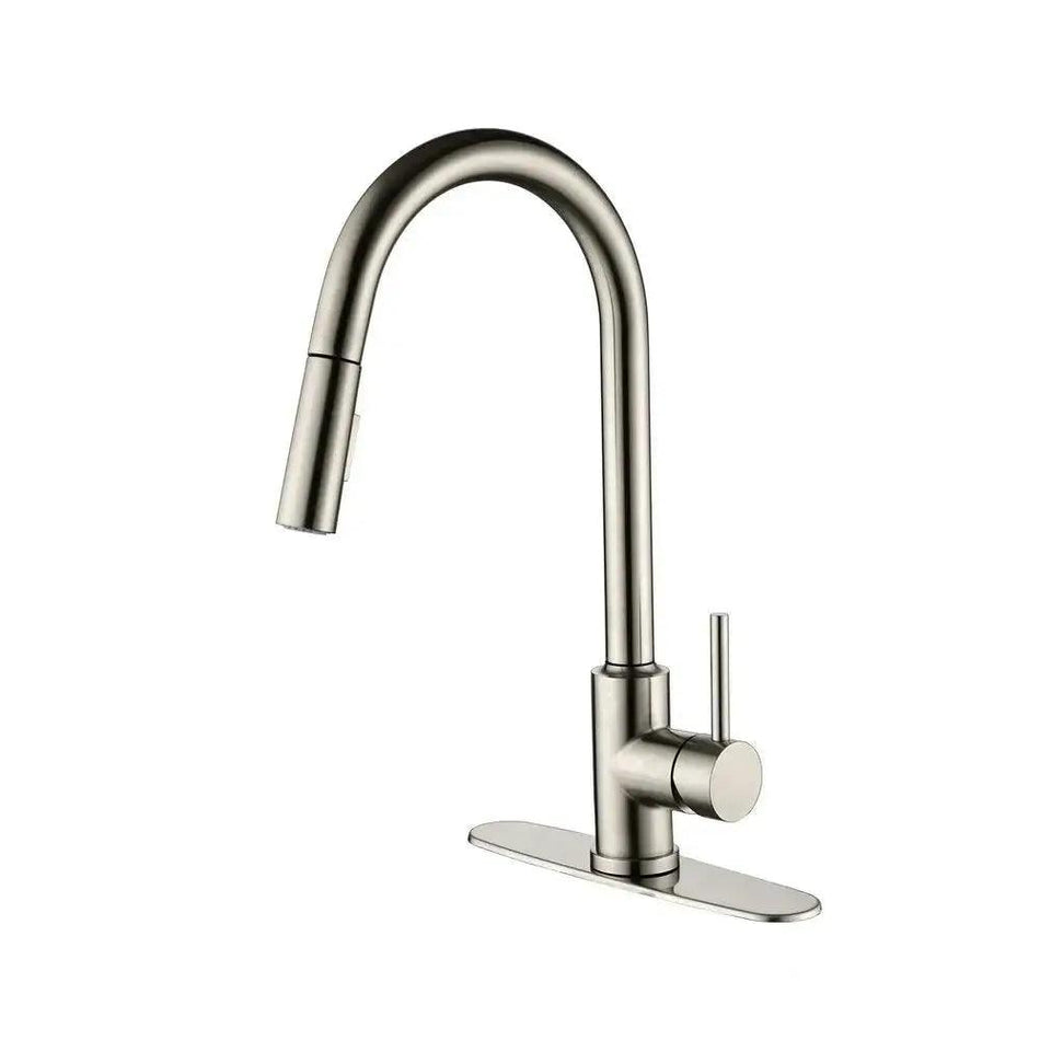 Single Handle High Arc Pull Out Kitchen Faucet, Single Level Stainless Steel Kitchen Sink Faucets with Pull Down Sprayer      Default Title